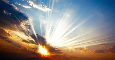 What Will We Do in Heaven? - What Believers Can Look Forward To