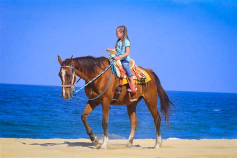 Horseback Riding Beach and Desert Tour - G-Force Adventures Reservations