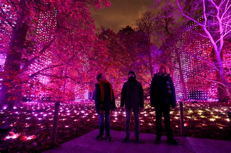 In Pictures: Spectacular Christmas light show at Kew Gardens | Lancashire Telegraph