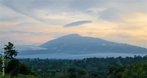 Scenic view of Mount Cameroon mountain with green forest during sunset ...