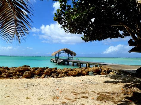 Pigeon Point, Tobago | Beaches in the world, Tobago, Favorite places