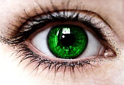 Dark Emerald Green Eyes