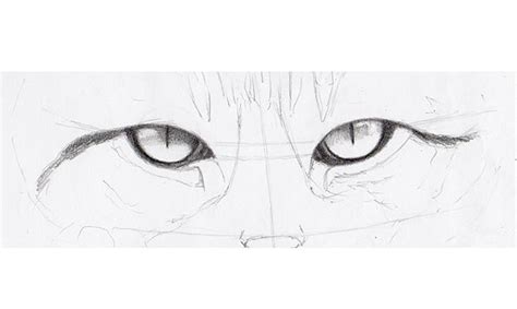 The Simple Guide to Drawing Realistic Cat Eyes | Çizim