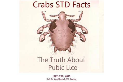 Crabs STD – Why You're At Risk!