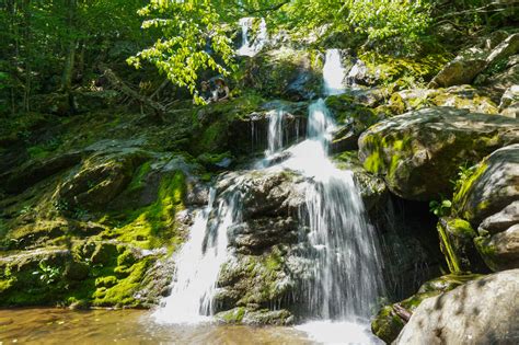 Get the Most Out of Skyline Drive in Shenandoah National Park