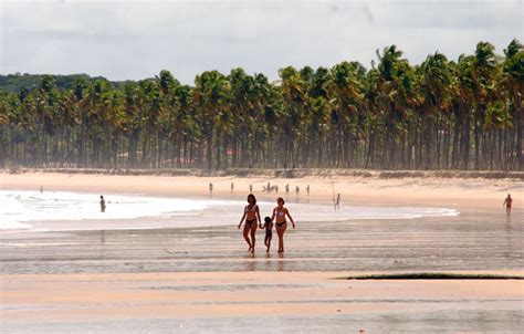 Beaches of the South Coast of Pernambuco - Travel Guide