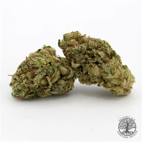 Super Glue | Hybrid | Monterey Bay Alternative Medicine