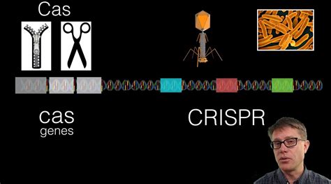 The Potential And Ethics Of CRISPR — The Wonder of Science