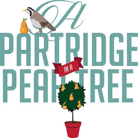 Partridge In A Pear Tree Clip Art - ClipArt Best