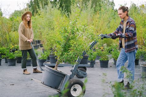 Gardeners moving heavy plants on cart in garden · Free Stock Photo