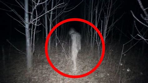 5 Scary Things Caught on Camera In the Woods | Scary woods, Real ghost photos, Creepy pictures