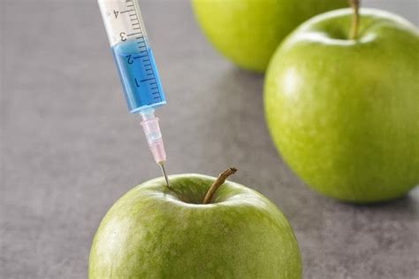 GMO Report: GM Apples Headed for USDA Approval