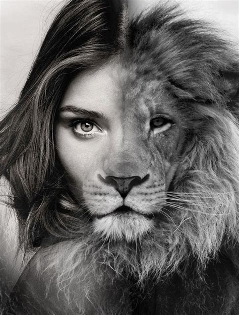 Pin by Tina Canedo on Idea | Black and white lion, Lion pictures, Lion art