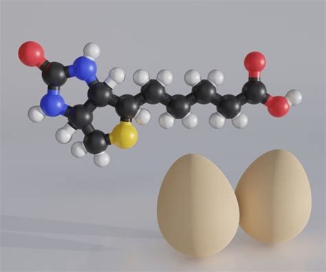 7 Biotin Nutraceutical Images, Stock Photos, 3D objects, & Vectors | Shutterstock