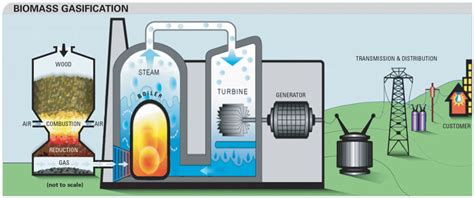 Scientist - Biomass Energy