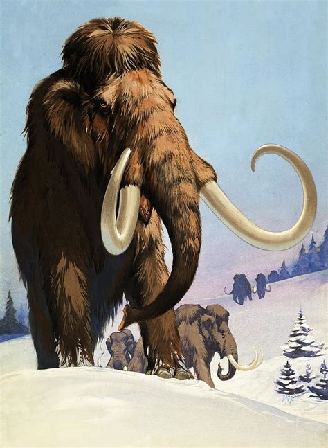 Mammoths from the Ice Age Painting by Angus McBride - Pixels