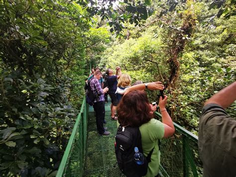 Monteverde Hanging Bridges Hike - Eco Tours Costa Rica