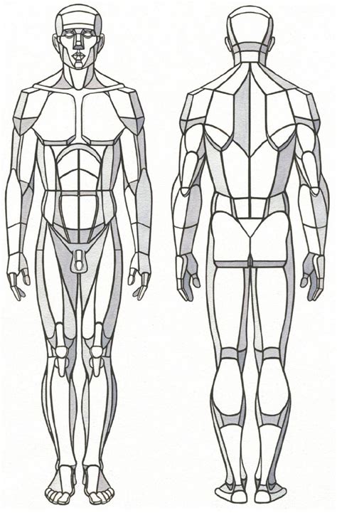 Pin by Karel Wahl on dremel | Human anatomy drawing, Anatomy drawing, Figure drawing