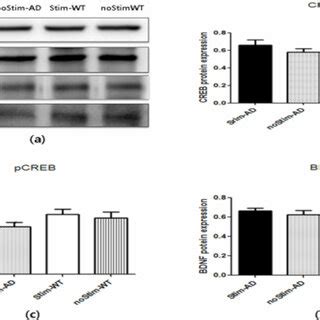 Levels of cyclic amp-response element binding protein (CREB ...