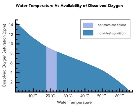 How Does Temperature Affect Dissolved Oxygen? | Atlas Scientific