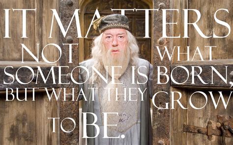 Famous Harry Potter Quotes Dumbledore at William Nilson blog