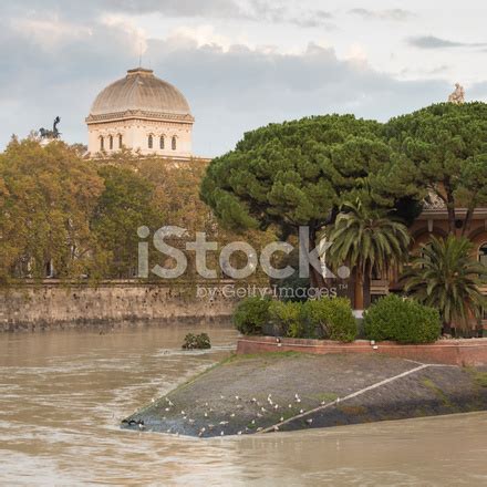 Tiber River During The Flood Nov.15 2012, Rome Italy Stock Photo | Royalty-Free | FreeImages