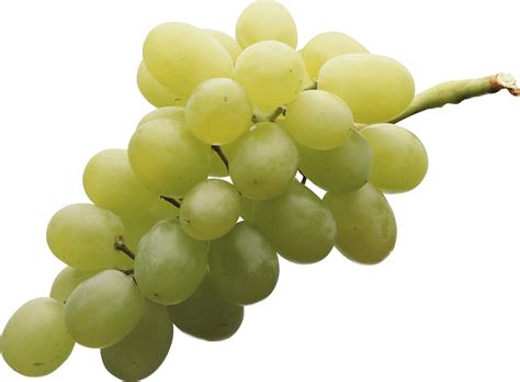 Download Green Grape Png Image HQ PNG Image | FreePNGImg