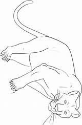 Panther coloring Page  Animals Town color Sheet sketch template
