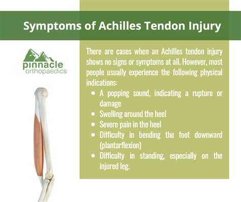 Stretched Achilles Tendon Symptoms Sale | bellvalefarms.com