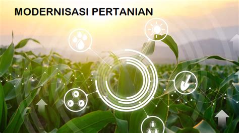 Contoh Modernisasi Pertanian dalam Peningkatan Produktivitas dan Efisiensi - Bertanam