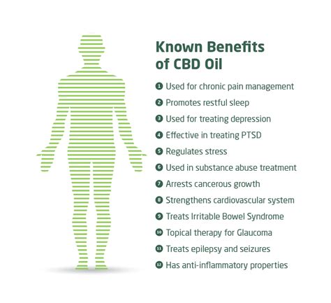 CBD Oil Benefits - The Complete Guide - Yawnder