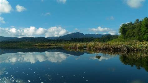 Tasik Chini (กวนตัน, มาเลเซีย) - รีวิว - Tripadvisor