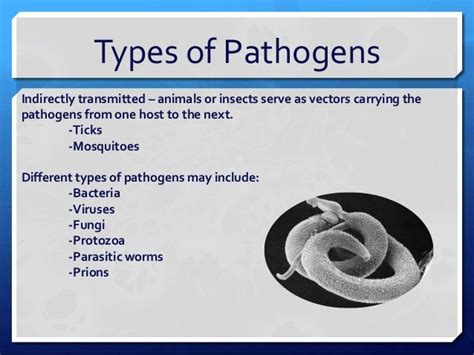 Types of Pathogens