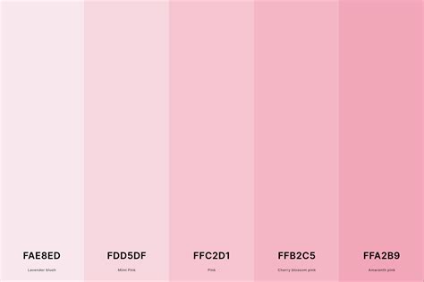 25+ Best Pink Color Palettes with Names and Hex Codes – CreativeBooster