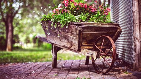 Vintage Flower Pot Wallpaper,HD Flowers Wallpapers,4k Wallpapers,Images ...