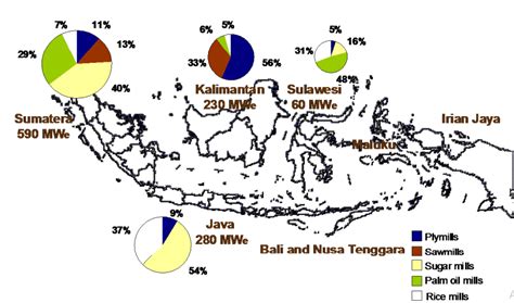 Mengupas Perkembangan Energi Biomassa di Indonesia | by Alfin Fadhilah | Medium