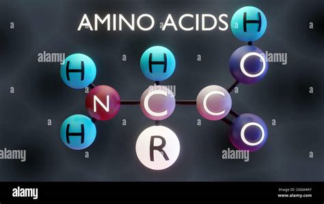 Amino Acid Structure 3d