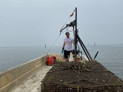 Foundations of Shellfish Farming course offered by CTSG | Connecticut ...