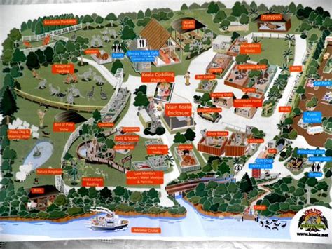 Koala Shores Holiday Park Map