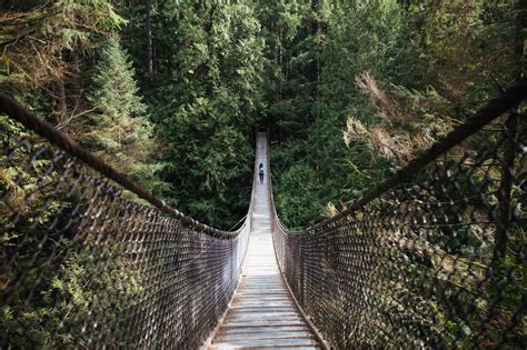 High Res Walking Bridge Picture — Free Images | Day trips, Vancouver tours, Lynn canyon