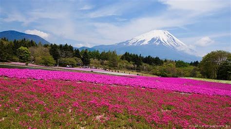 Mount Fuji | View more at www.dannychoo.com/post/en/26525/Mo… | Flickr