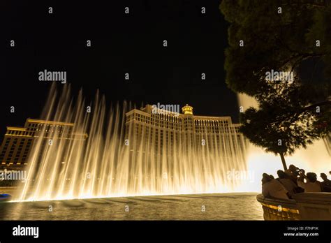 The Bellagio Fountains at night in Las Vegas Stock Photo - Alamy