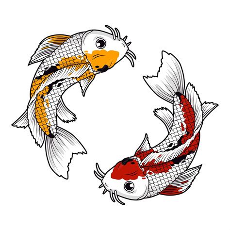 Premium Vector | Koi fish cector illustration vector design