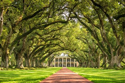 Oak Alley Plantation: If These Old Oaks Could Talk… | Bob Neff Tours