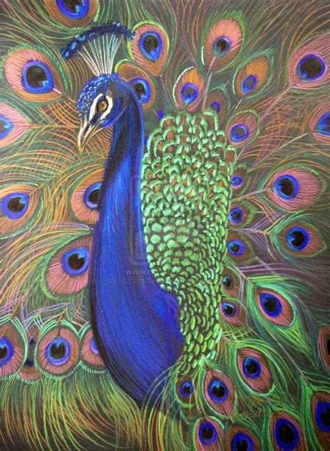 Peacock Prismacolor 2 by HouseofChabrier on deviantART | Peacock art, Peacock painting, Prismacolor