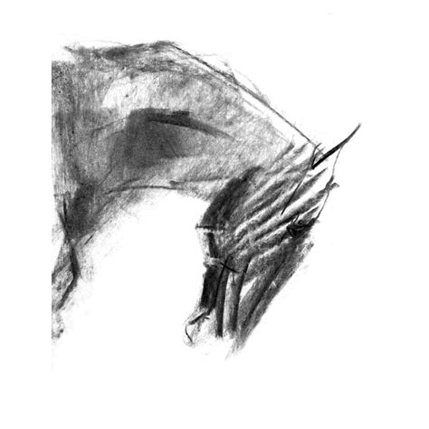 Charcoal 4 Horse's head charcoal drawing