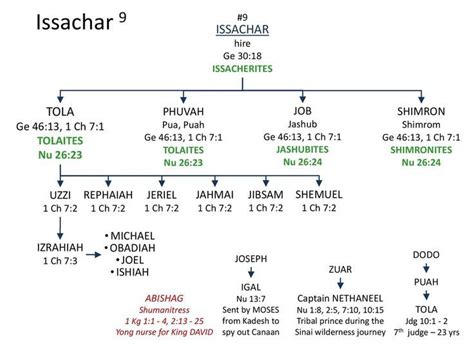 Issachar Family Tree in 2022 | Sons of jacob, Family tree, 12 tribes of ...