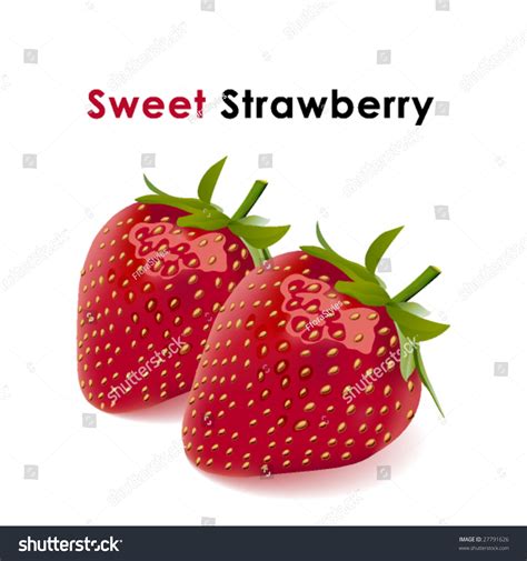 Strawberry,Vector - 27791626 : Shutterstock