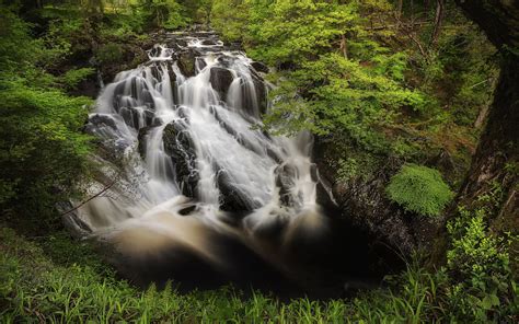 Landscape, forest, river, waterfall HD wallpaper | Wallpaper Flare