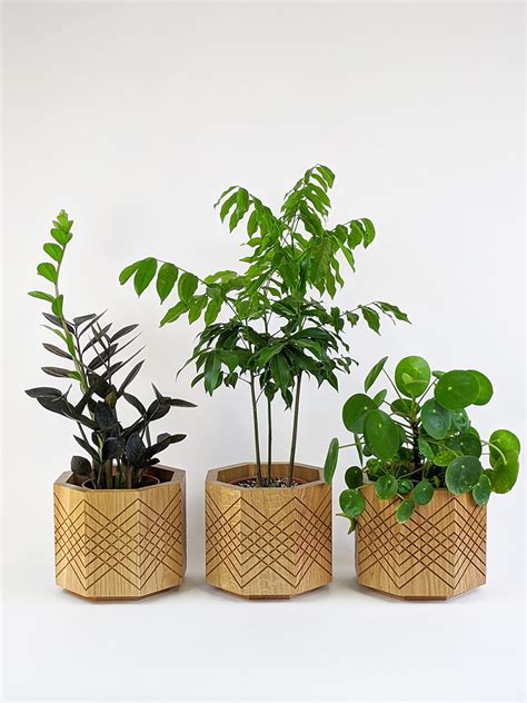 Wooden indoor planter - luxury oak planter - Bertram Whitford